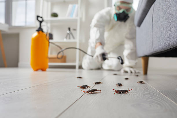 Post-Treatment Bed Bug Interceptor Monitoring in Greenacres