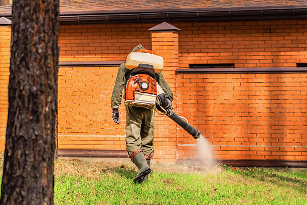 Bed Bug Clearance Verification and Documentation in Greenacres